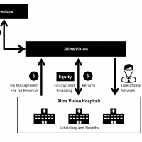 Figure 5: Investment Flows to Alina Vision and Returns.