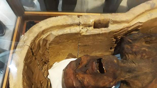 A picture taken on Feb. 14 shows the “Screaming Mummy,” known scientifically as “the unknown man E,” on display at the Egyptian Museum in Cairo’s Tahrir Square. 'Screaming Mummy' displayed in Egypt museum