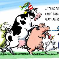 Can lab meat feed — and save — the world?