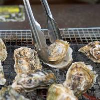 Flat side up: Oysters are ordered by the kilo and arranged across the shared barbecue grill. When cooked, the shell should naturally open. Kakigoya: Oyster huts home to Fukuoka Prefecture's winter treat