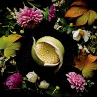 Too good to eat: <i>Nerikiri</i> created by artisan <i>wagashi</i> craftsman Junichi Mitsubori. Artisan Junichi Mitsubori presents his new art of <I>wagashi</I>