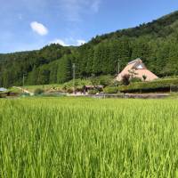 Picture perfect: Volunteering on a farm surrounded by mountains and with a cool stream just outside its front door might sound tantalizing, but volunteers need to be ready to get their hands dirty. Midori Farm: Finding earthy solutions in rural Shiga