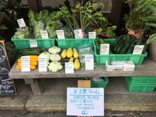 Midori Farm produce for sale