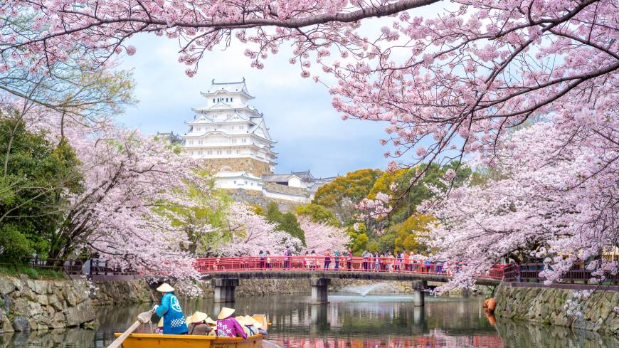 Himeji Castle 20 sakura (cherry blossom) spots to visit across Japan in 2018