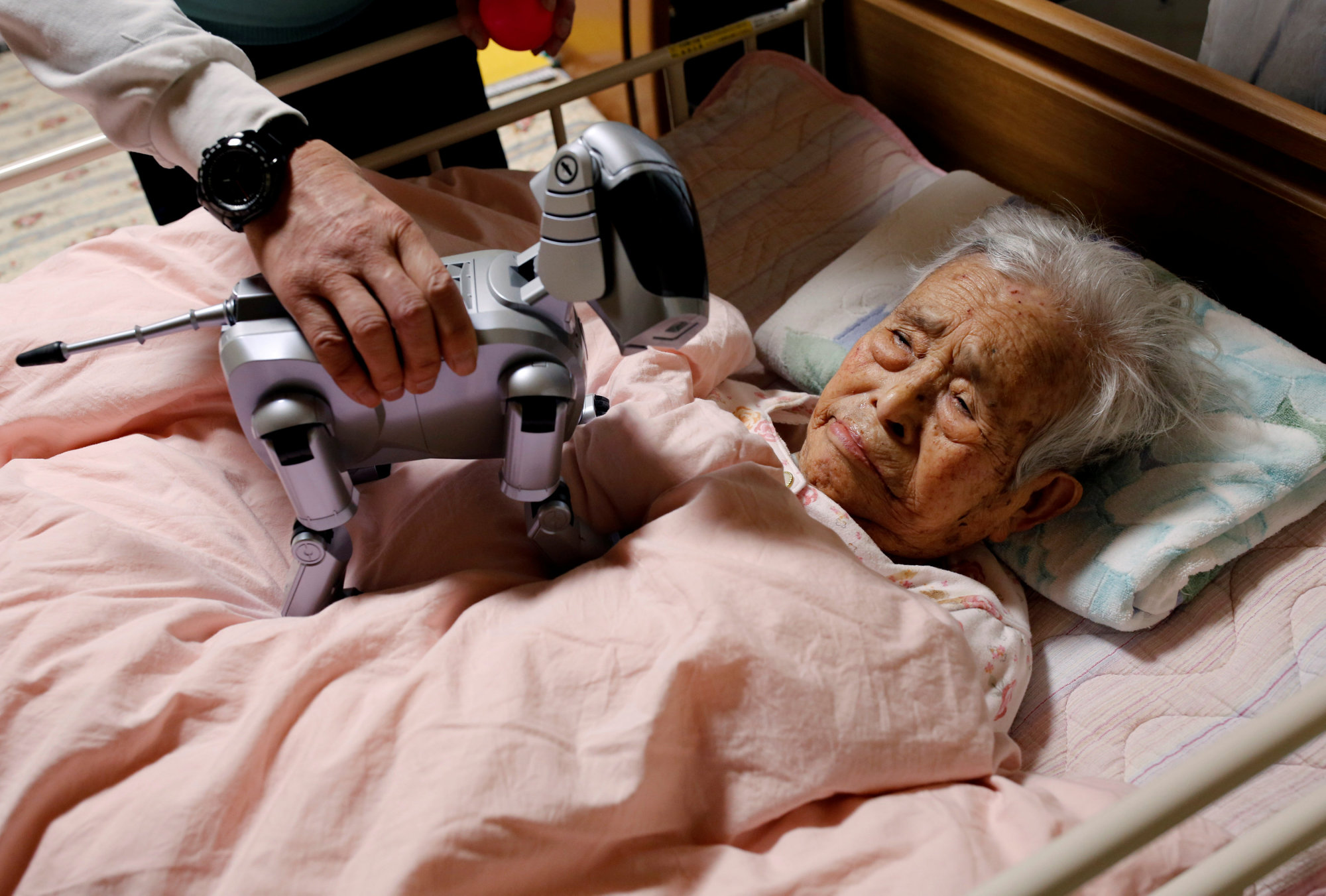 Yoichi Suzuki shows Aibo to his bed-ridden mother at his house in Takahagi, Ibaraki Prefecture, on Feb. 6.