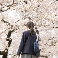 Budding English skills built up over years at conversation school can wither as junior high school clubs take over students’ lives. Springtime in Japan brings the sadness of the eikaiwa exodus