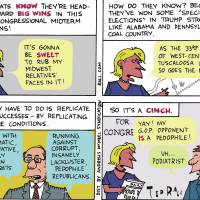 Democrats should run on impeachment