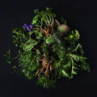 Called Inua — from the Inuit term for the life force that runs through nature — a new venture aims to bring together two very contrasting culinary cultures. Nordic cooking, Japanese bounty: Strong Noma current runs through new Tokyo restaurant Inua