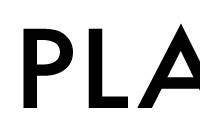 PLAID Logo