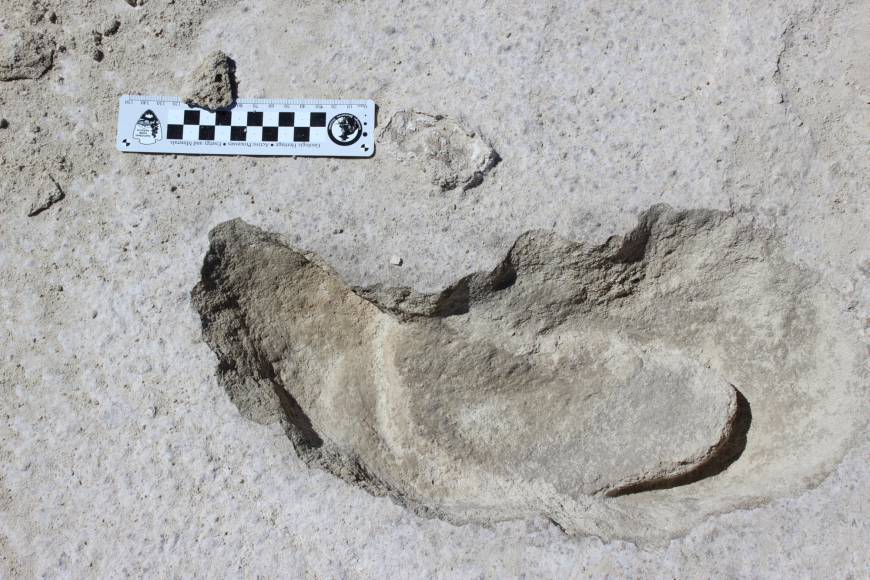 Image result for human footprints inside sloth prints