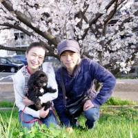 A lot of love: Blewit, a poodle-Shih Tzu mix, finds a forever home