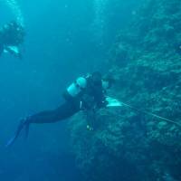 Reef encounter: Members of Oki Coral Watchers perform a reef survey off Okinawa, noting the number and type of corals along the transect (a line laid on the coral identifying the area under observation) and evaluating their health. Visitors to Okinawa invited to be citizen scientists as tourism takes its toll on coral