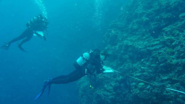 Reef encounter: Members of Oki Coral Watchers perform a reef survey off Okinawa, noting the number and type of corals along the transect (a line laid on the coral identifying the area under observation) and evaluating their health. Visitors to Okinawa invited to be citizen scientists as tourism takes its toll on coral