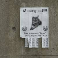 Japan's pet detectives