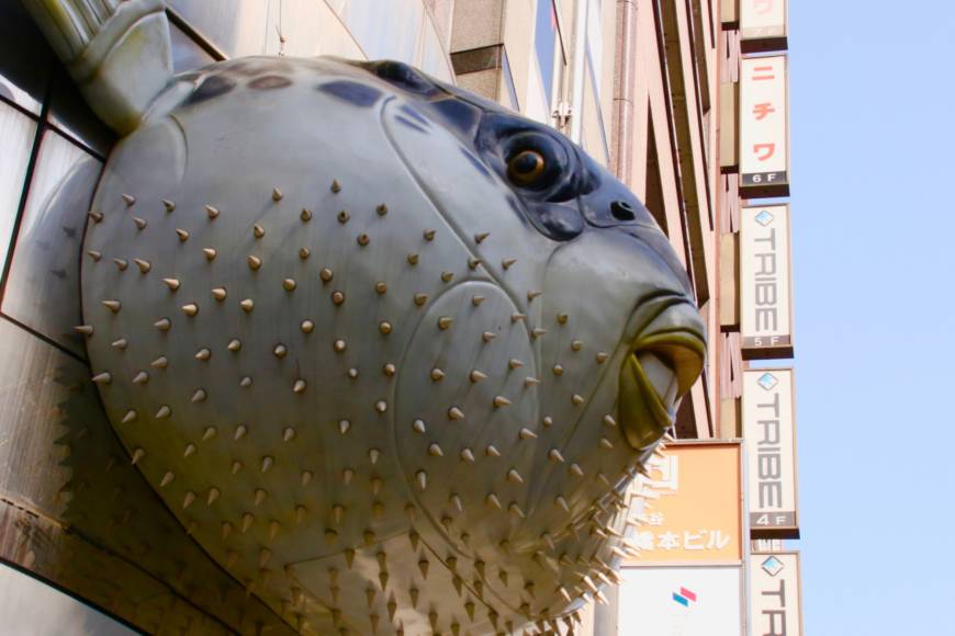 Catch of the day: A 2-meter-high fugu looks out from the wall at Tora-fugu Tei.