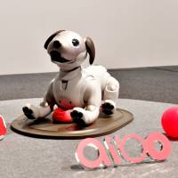 Sony Corp.’s new Aibo robot dog is shown to the media at the company’s headquarters in Tokyo last November. Sales of Sony's new Aibo robot dog off to solid start