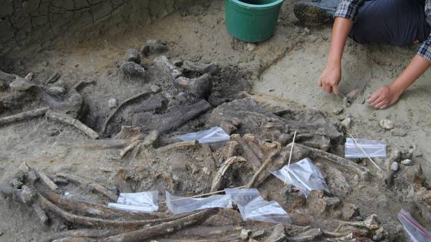 This handout image obtained from the French Museum of Natural History on Wednesday shows an archaeologist at work at the site of an archaeological dig at Kalinga in the Philippines. Were early humans living in East Asia more than half-a-million years ago clever enough to build seafaring watercraft and curious enough to cross a vast expanse of open sea? Traces of early humans in Philippines 700,000 years ago raise question of whether they were seafarers