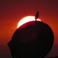 The sun sets through “vog,” or volcanic smog, in Kailua-Kona, Hawaii, May 22. Hawaii volcanic smog blankets Marshall Islands 3,700 km away as it spreads west