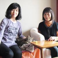 Once-timid cat Mintan finds a loving home in Tokyo