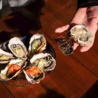 Shima Peninsula oysters topped with lemon, salsa and spring onion. The Shima Peninsula, where life is built on oysters and seafood