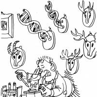 How scientists succumb to corruption and cook results
