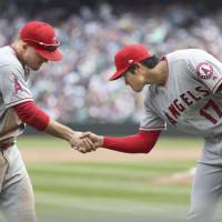 Angels pitcher Shohei Ohtani (right) shakes hands with outfielder Mike Trout during their victory over the Mariners on Sunday in Seattle. Shohei Ohtani makes winning return to mound as Angels beat Mariners