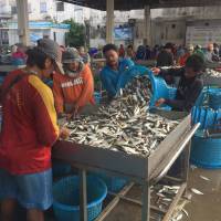 Migrant workers sort fish and seafood at a port in Samut Sakhon, Thailand, on March 25. Thailand turns to tech to end slavery at sea as workers push for rights