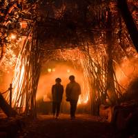 Visitors enter Moment Factory’s multimedia experience on Iojima island in Nagasaki Prefecture. Fantasy island: Collaborative multimedia project in Nagasaki seeks to augment the natural world