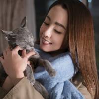 A purr-fect listener: Erika Sawajiri’s Saori finds a feline friend in a Russian Blue named Yoshio in Isshin Inudo’s “The Cat in Their Arms.” 'The Cat in Their Arms': Forget the idol-pop plot points and stick with the pets
