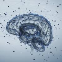 Connecting the dots: When researchers examined the brains of recently departed superagers (very old people with well-functioning memories), they discovered that some had signs of Alzheimer’s disease even though they had shown no standard age-related memory loss. Memory athletes could be on the right track to a longer life