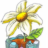 Nourishing cities with nature