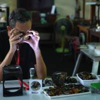 Akbar Khan, a 52-year-old self-described ‘extreme fossil in amber hunter,’ inspects a piece of honey-colored fossilized tree sap from Kachin state in Myanmar at his street stall in Bangkok on May 31. Chasing dinosaurs in Myanmar's conflict-ridden north