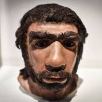 This photo taken on March 26 shows a moulding of a Neanderthal man face displayed for the Neanderthal exhibition at the Musee de l’Homme in Paris. The Neanderthal man knew how to make fire by striking stones, it was reported Thursday, according to researchers who analysed several tools from sites in France dating back 50,000 years. Neanderthal man knew how to make fire, study of stone tools up to 50,000 years old indicates