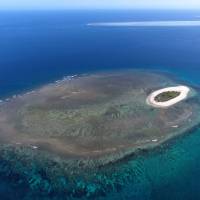 An island surrounded by coral reefs in the Coral Sea off Australia’s north-east coast. Untouched ocean habitats shrinking rapidly, study says