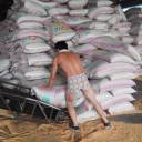 A worker loads sacks of animal food made from soybeans at the Hopeful Grain and Oil Group in Sanhe, in China's northern Hebei province, on July 19.