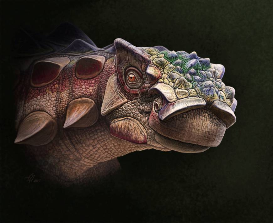 spiky turtle dinosaur