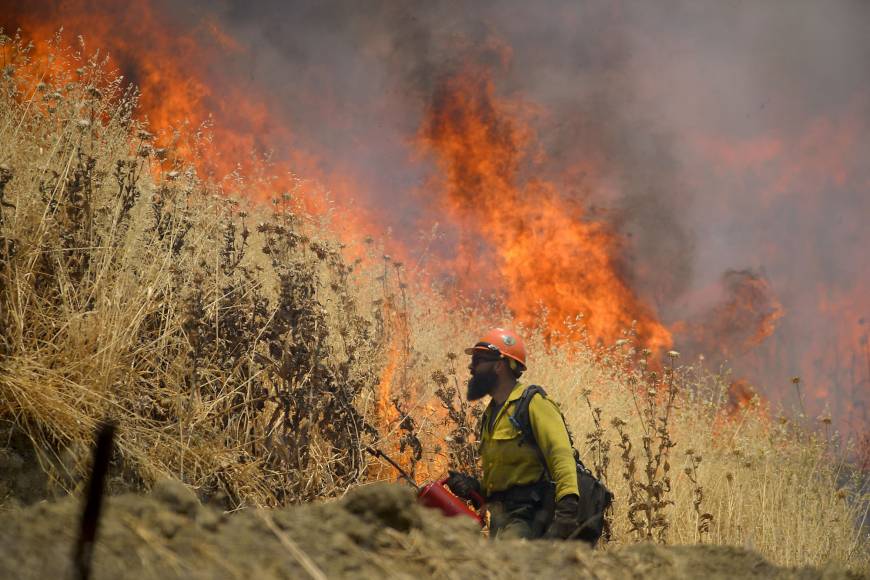 Description Read the Latest News from The Sacramento Bee newspaper in Northern California.