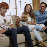 After abandonment twice and years of neglect, toy poodle Manto finds a home in Tokyo