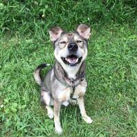 Tickle me pink: a dog named Beaujolais