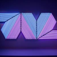 “Empress of India II” (2005) Bertrand Lavier's 'Medley' blows hot and cold