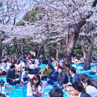 Pretty in pink: Tokyo’s Ueno Park is famous for its cherry blossoms in spring. A late addition to urban culture, parks say a lot about life in Japan