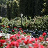 A woman rests in a public garden in Vienna Monday. Osaka and Tokyo among world's top 10 most liveable cities as Vienna tops Melbourne for first: Economist survey