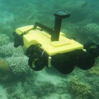 The new RangerBot in action on the Great Barrier Reef in northern Queensland. Australia unleashes starfish-killing robot to protect Great Barrier Reef