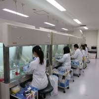 Evec Antibody Research Laboratories