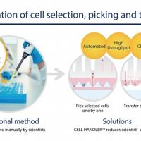 Automated cell selection and transfer replacing conventional method