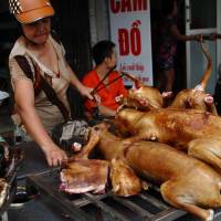A vendor sells dog meat on a street in Hanoi in 2012. Hanoi officials urged residents on Tuesday to ease off eating dog meat, saying the popular dish is tarnishing the city’s image and risks spreading rabies. Hanoi urges residents to stop eating dog meat, cites image and rabies risk