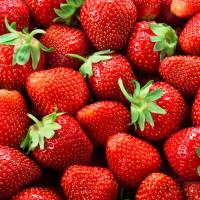 The Australian state of Queensland has offered a large reward for information after sewing needles were found in strawberries sold in supermarkets. Australia offers reward amid mystery strawberry needle scare