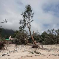 A man takes photographs of an uprooted tree on a beach on Sept. 18 in the aftermath of Typhoon Mangkhut in the coastal village of Shek O in Hong Kong. As typhoons get stronger, Asia must build better, experts say