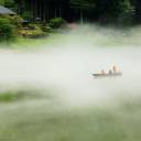 A rowboat passes through thick fog on the Tadami River in the town of Kaneyama, Fukushima Prefecture. The river tour has become popular with tourists from Japan and abroad.