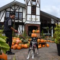 Halloween decorations are seen outside Niseko Station in Hokkaido on Sept. 12. Hokkaido's famous ski resort area Niseko seeks to promote its safety after powerful quake